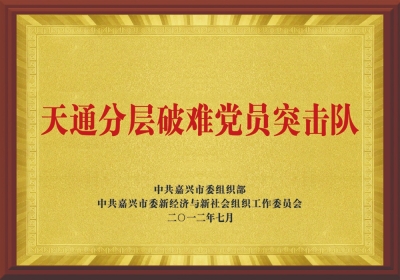 “3868la银河总站分层破难党员突击队”