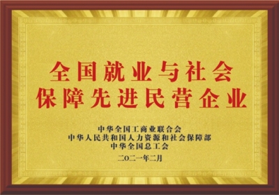 全国就业与社会保险先进民营企业